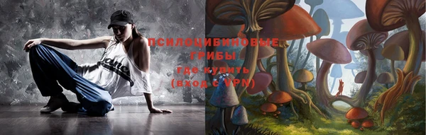 спиды Инсар