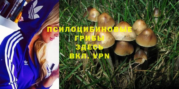 соль курить ск Зерноград