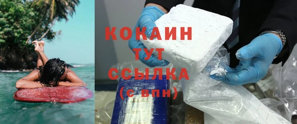 стаф Инта