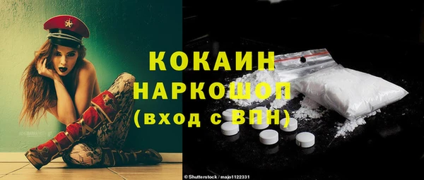 стаф Инта
