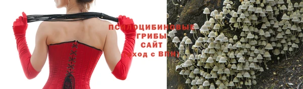 соль курить ск Зерноград