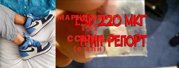 спиды Инсар