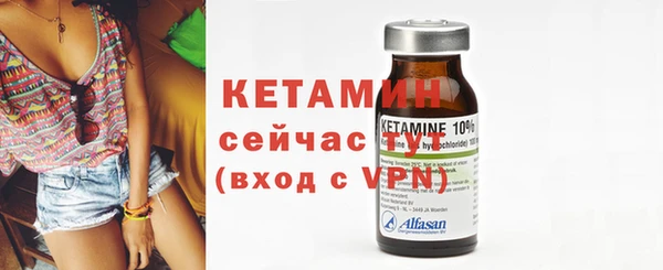 стаф Инта