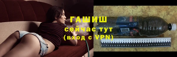 стаф Инта