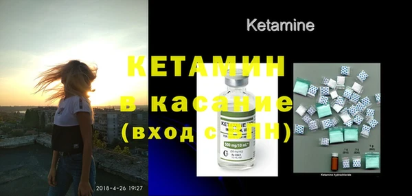стаф Инта