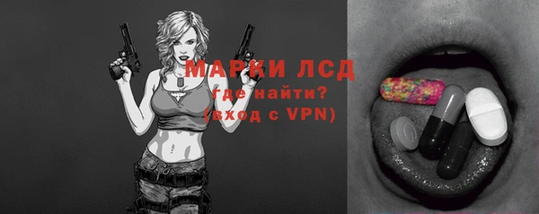 прущие грибы Зеленокумск