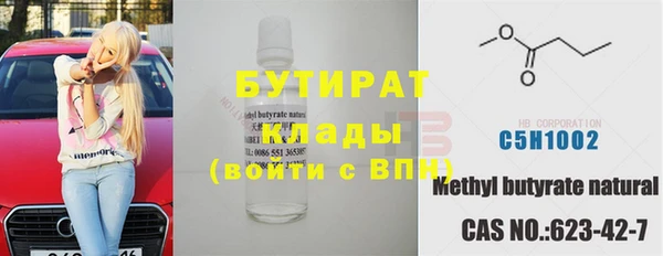 стаф Инта