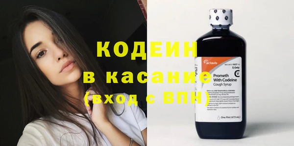стаф Инта