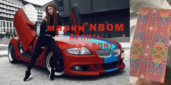 прущие грибы Зеленокумск