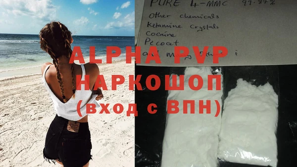 прущие грибы Зеленокумск