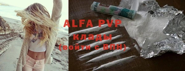стаф Инта