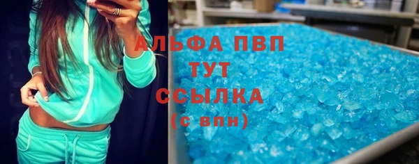 прущие грибы Зеленокумск