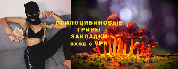 прущие грибы Зеленокумск