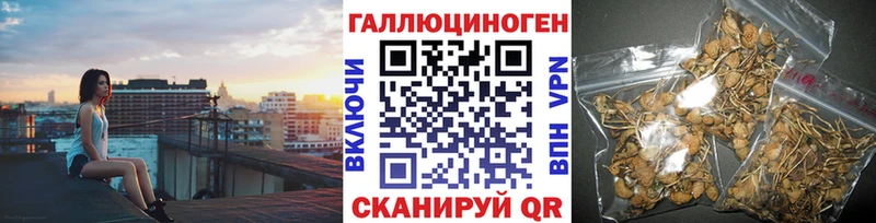 Галлюциногенные грибы прущие грибы  Купить  Зима 